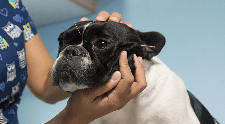 Acupuncture