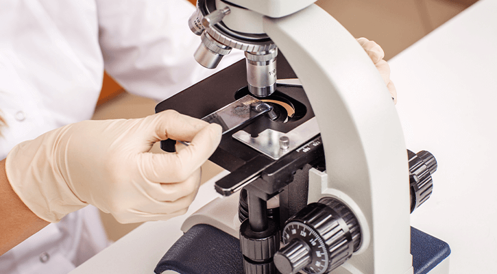 In-House Laboratory