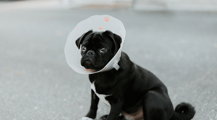 Surgery
