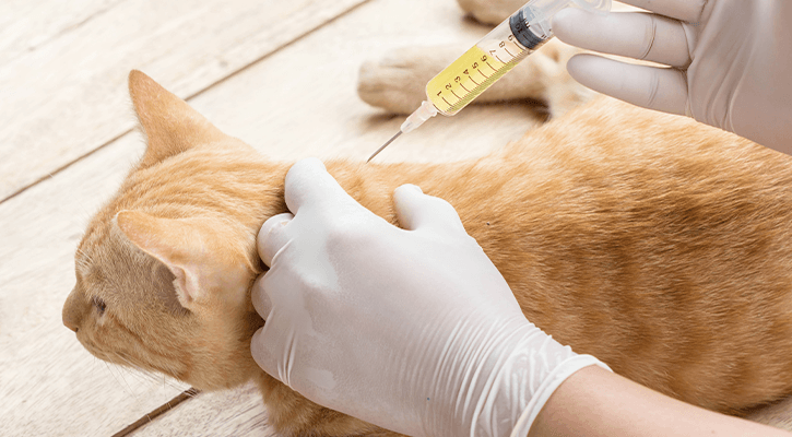 Vaccinations
