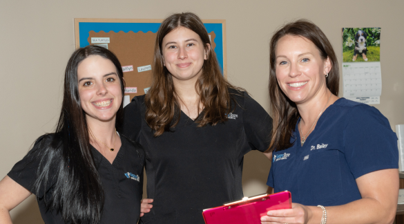 Meet Our Team